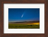 Comet NEOWISE Over a Ripening Canola Field in Southern Alberta Fine Art Print