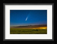 Comet NEOWISE Over a Ripening Canola Field in Southern Alberta Fine Art Print