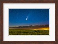 Comet NEOWISE Over a Ripening Canola Field in Southern Alberta Fine Art Print