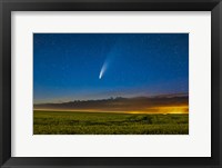 Comet NEOWISE Over a Ripening Canola Field in Southern Alberta Fine Art Print