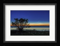 Comet NEOWISE Over Deadhorse Lake Fine Art Print