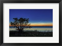 Comet NEOWISE Over Deadhorse Lake Fine Art Print