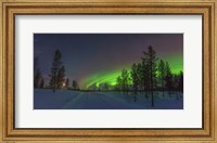 Northern Lights in Lapland Forest, Finland Fine Art Print