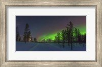 Northern Lights in Lapland Forest, Finland Fine Art Print