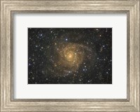 Intermediate Spiral Galaxy IC 342 Fine Art Print