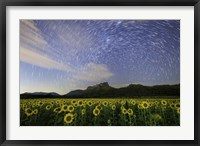 Star Trails Among the Passing Clouds Above a Sunflower Filed Near Bangkok, Thailand Fine Art Print