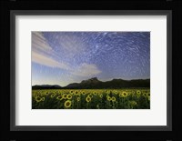 Star Trails Among the Passing Clouds Above a Sunflower Filed Near Bangkok, Thailand Fine Art Print
