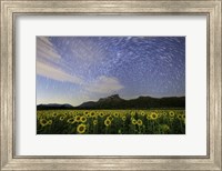 Star Trails Among the Passing Clouds Above a Sunflower Filed Near Bangkok, Thailand Fine Art Print