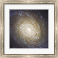 Nucleus of Spiral Galaxy NGC 976 Fine Art Print