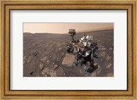 Curiosity's Selfie at the Mary Anning Location On Mars Fine Art Print