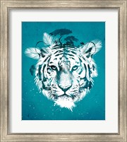 White Tiger Fine Art Print