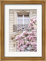 Spring Magnolias in Paris Fine Art Print