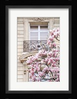 Spring Magnolias in Paris Fine Art Print