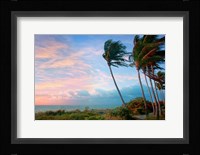 Seabreeze Fine Art Print