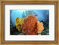 Different Colored Sea Fans Grow Together Fine Art Print