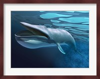 Blue Whale Underwater With Caustics On Surface Fine Art Print