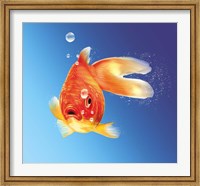 Goldfish With Water Bubbles Fine Art Print
