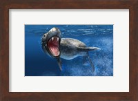 Leopard Seal Swimming Underwater Fine Art Print