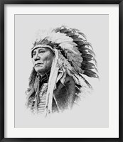 Chief Hollow Horn Bear, a Brule Lakota leader during the Indian Wars Fine Art Print
