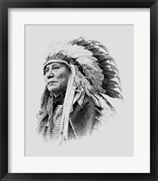 Chief Hollow Horn Bear, a Brule Lakota leader during the Indian Wars Fine Art Print