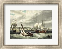 Ships and Boats Offshore of the New York quarantine station Swinburne Island Fine Art Print