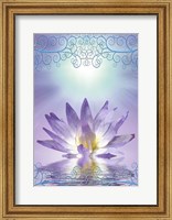 Lotus With Decorative Edging Fine Art Print