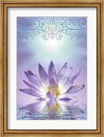 Lotus With Decorative Edging Fine Art Print