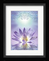 Lotus With Decorative Edging Fine Art Print