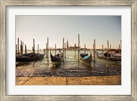 Venice Gondolas Fine Art Print
