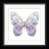 Aflutter II Framed Print