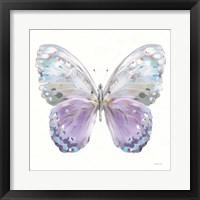 Aflutter II Framed Print