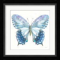 Aflutter I Framed Print
