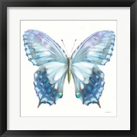 Aflutter I Framed Print