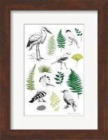 Nature Chart I Fine Art Print