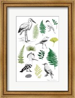 Nature Chart I Fine Art Print