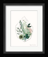 Terrarium Fine Art Print