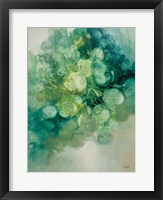 Emerald Pilea I Framed Print