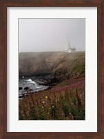 Coastal Fog IV Fine Art Print