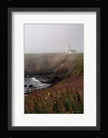 Coastal Fog IV Fine Art Print