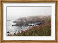 Coastal Fog II Fine Art Print