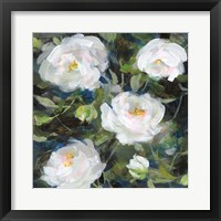 Roses for Camille Framed Print