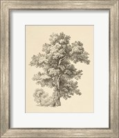Tree Study I Dark Fine Art Print
