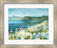 Wild Daisy Bay Fine Art Print
