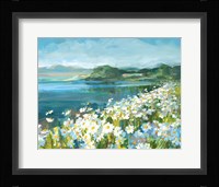 Wild Daisy Bay Framed Print