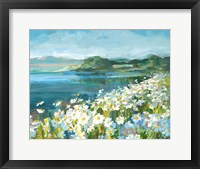 Wild Daisy Bay Fine Art Print