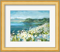 Wild Daisy Bay Fine Art Print