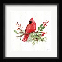 Celebrate the Season II Framed Print