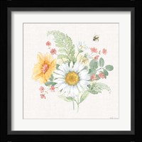 Daisy Days V Framed Print