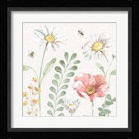 Daisy Days III Framed Print