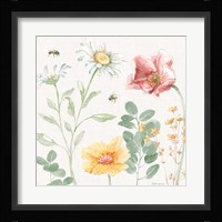Daisy Days II Framed Print